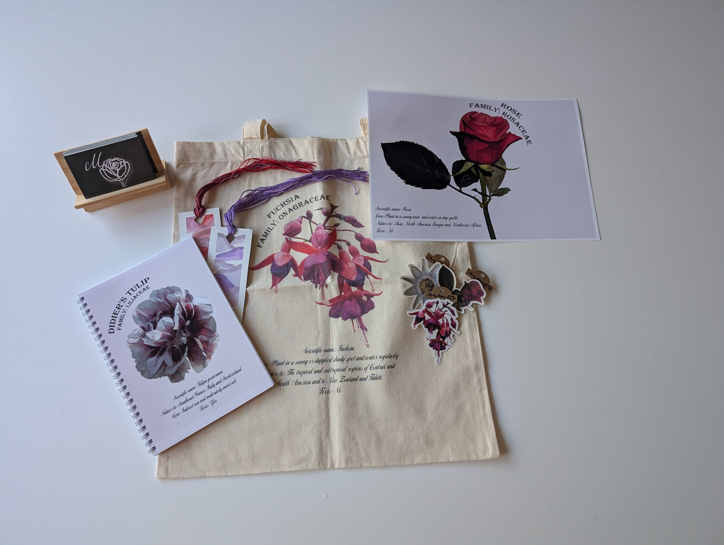 Animal mystery bundle