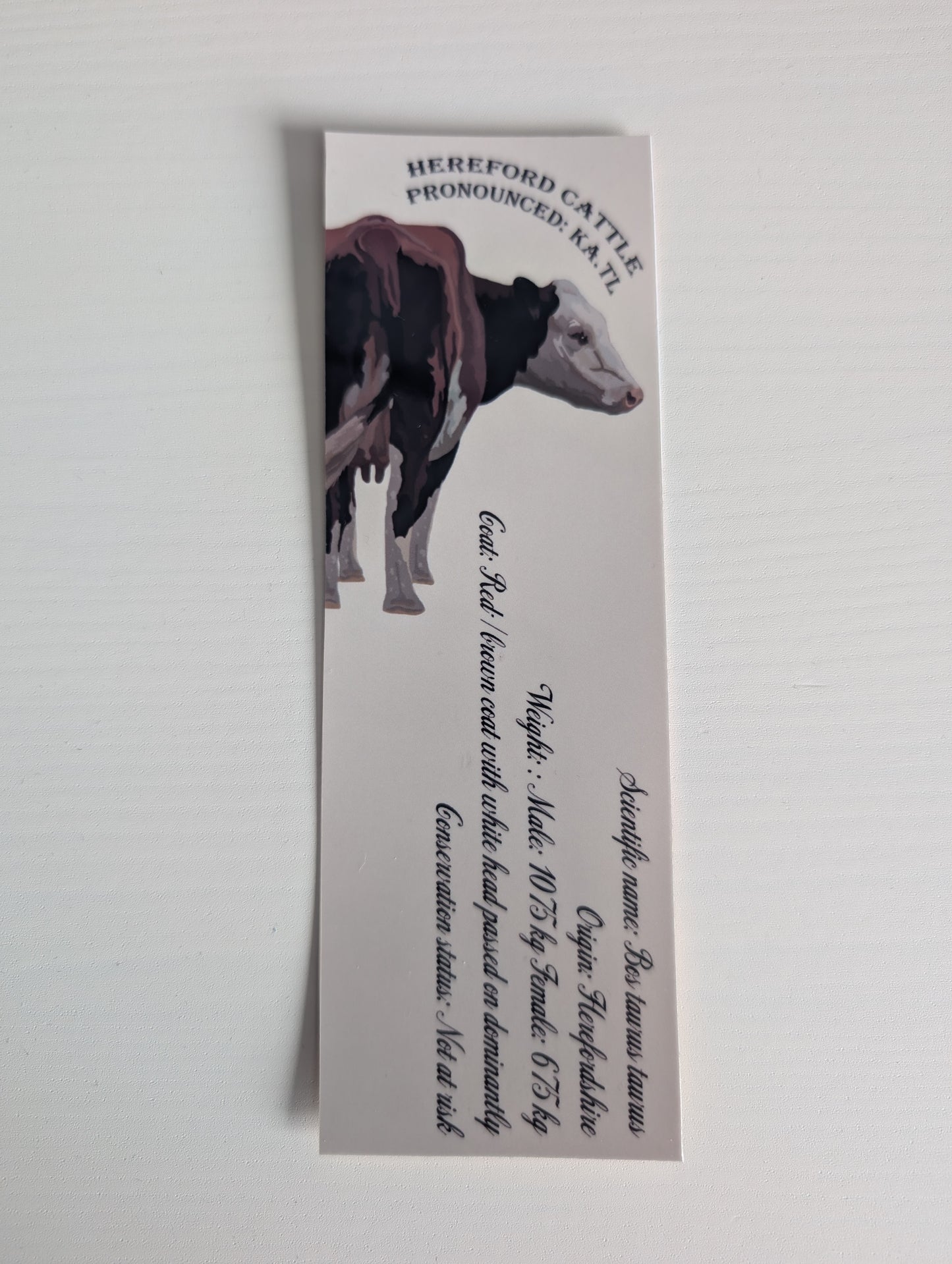 Animal Bookmark
