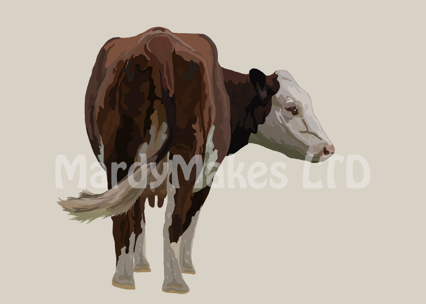 Hereford Cattle - Digital painting