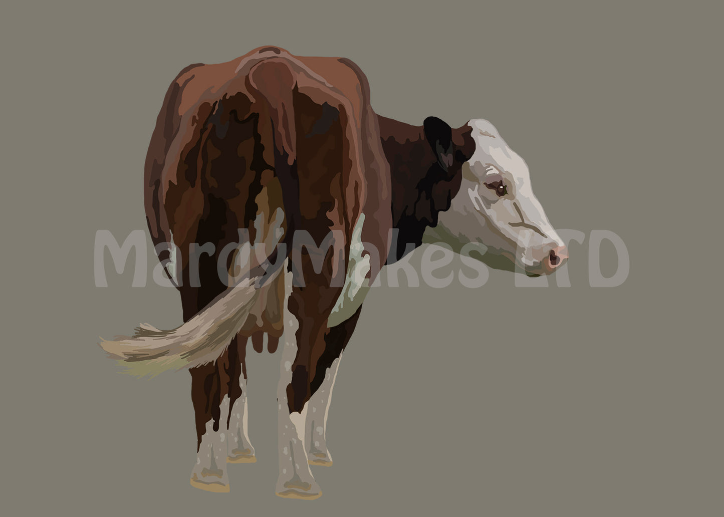 Hereford Cattle - Digital painting