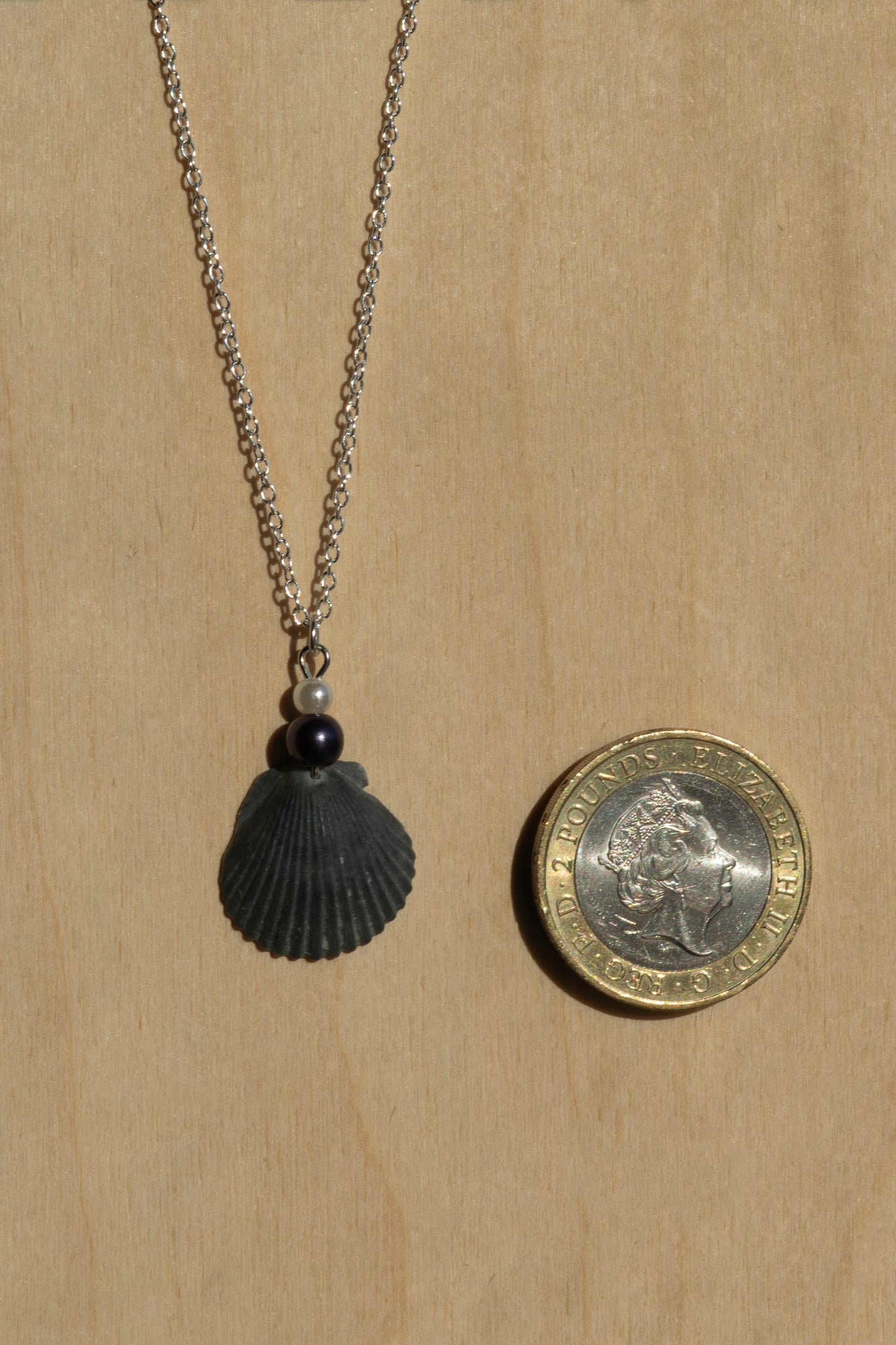 Seashell Necklace- Silver