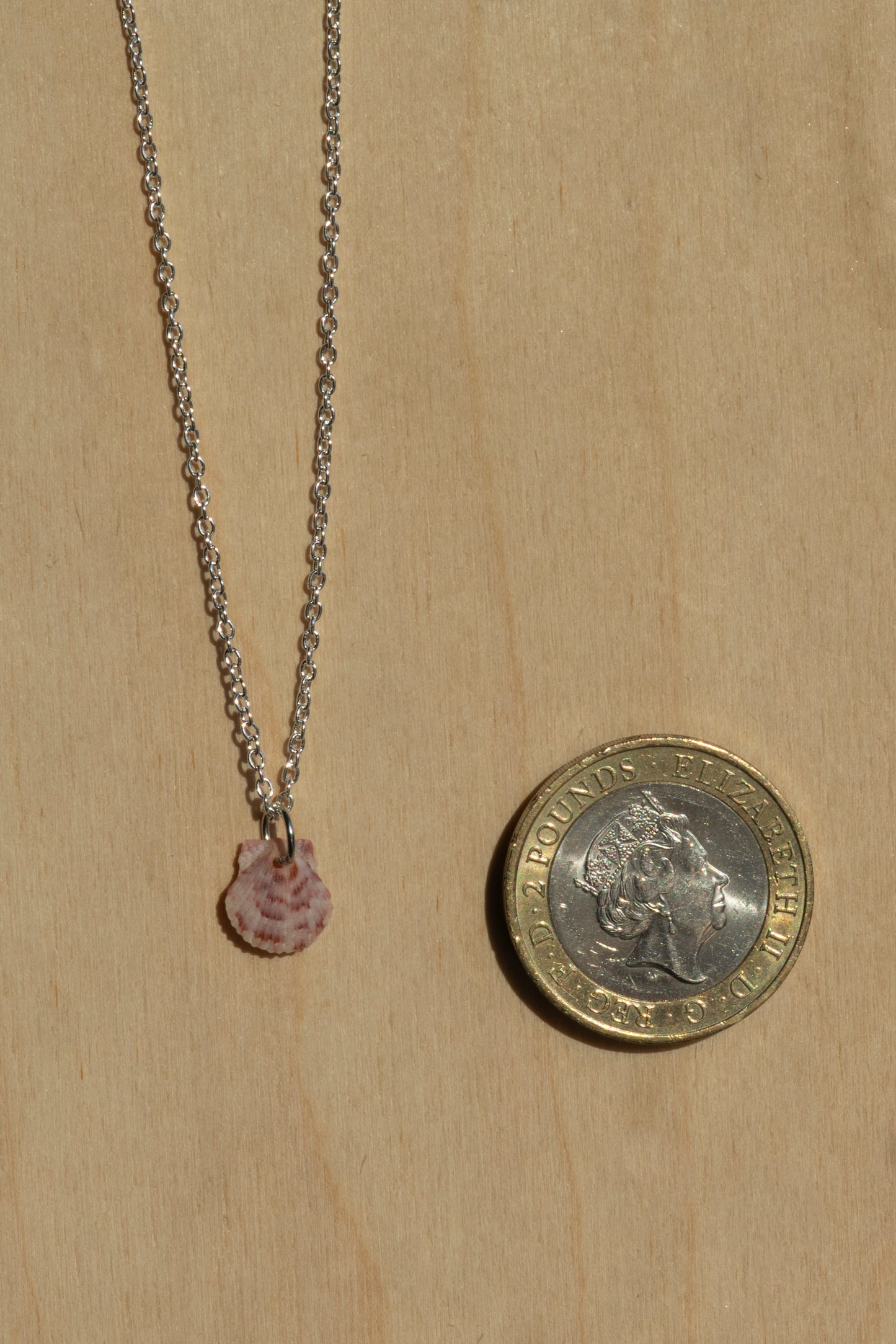 Seashell Necklace- Silver