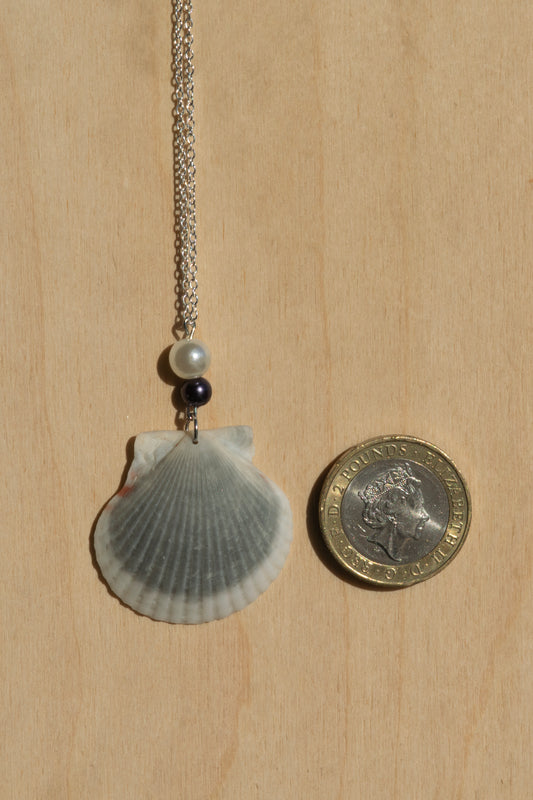 Seashell Necklace- Silver