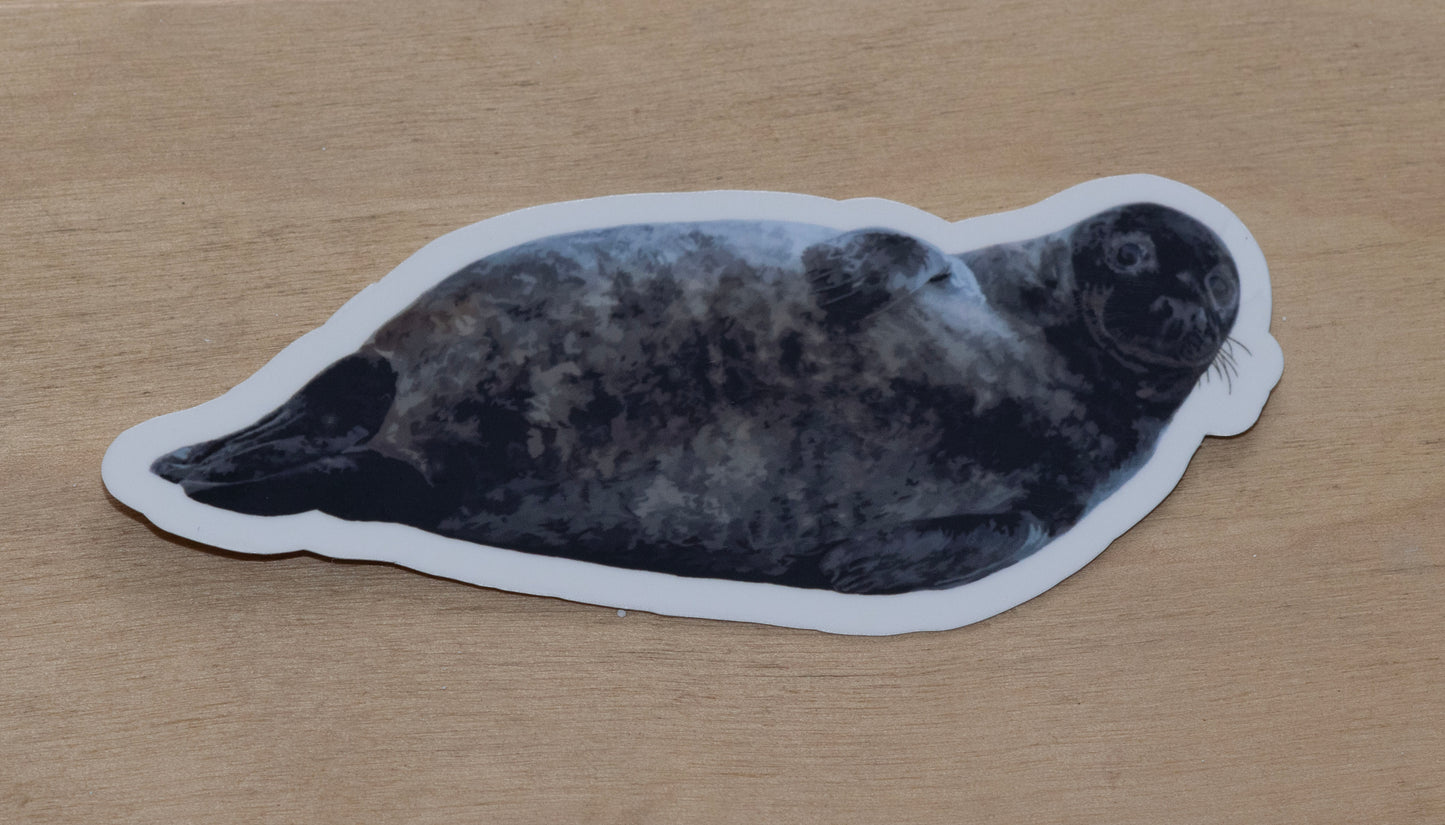 Animal Stickers - Seal