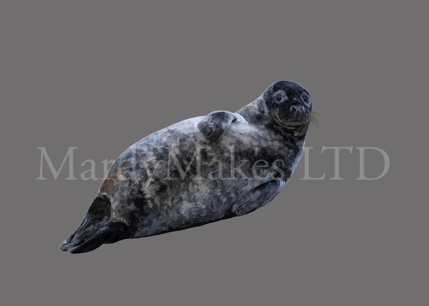 Grey Seal - Digital Painting