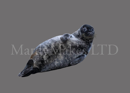 Grey Seal - Digital Painting