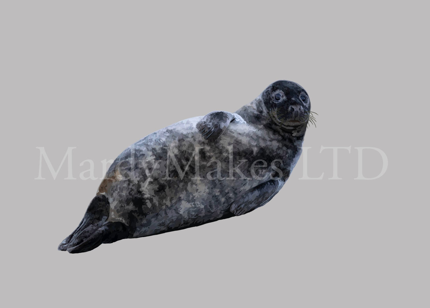 Grey Seal - Digital Painting